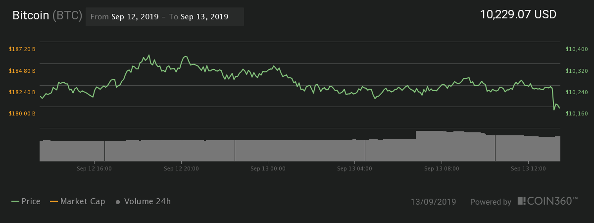 Bitcoin 24-hour price chart | Source: Coin360