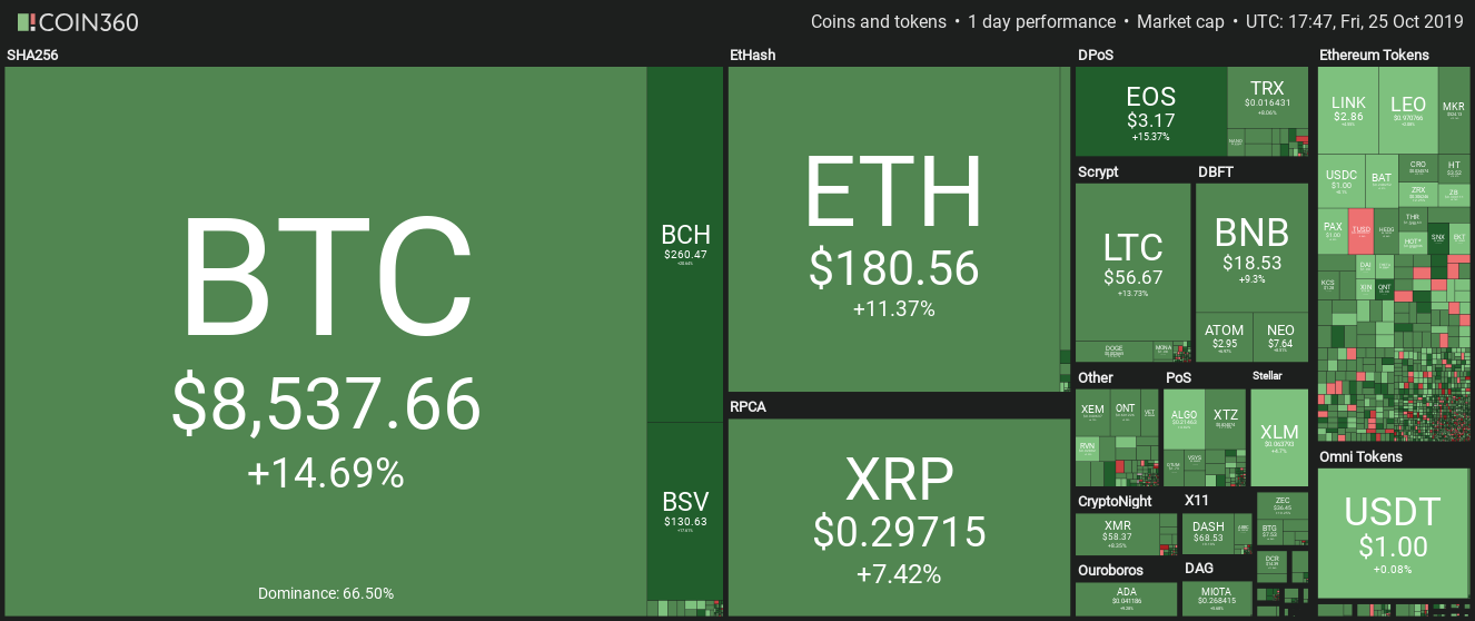 Cryptocurrency market daily performance