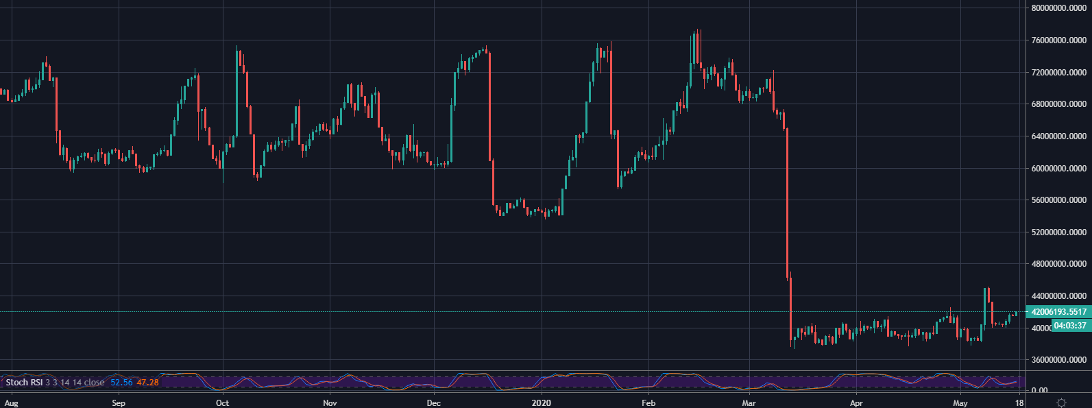 Bitfinex XRP/USD Longs 1D August 2019 - May 2020: TradingView​​​​​​​