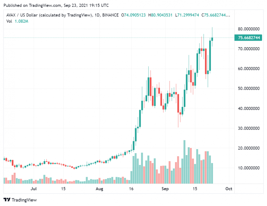 Vee Finance