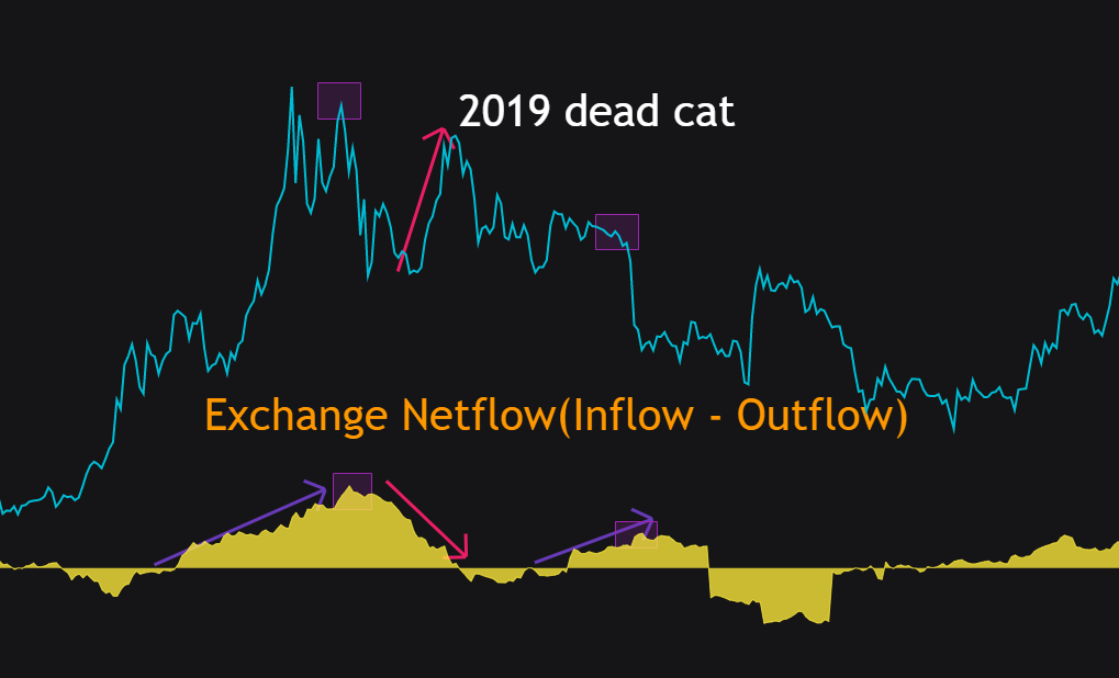 Bitcoin 2019 dead cat