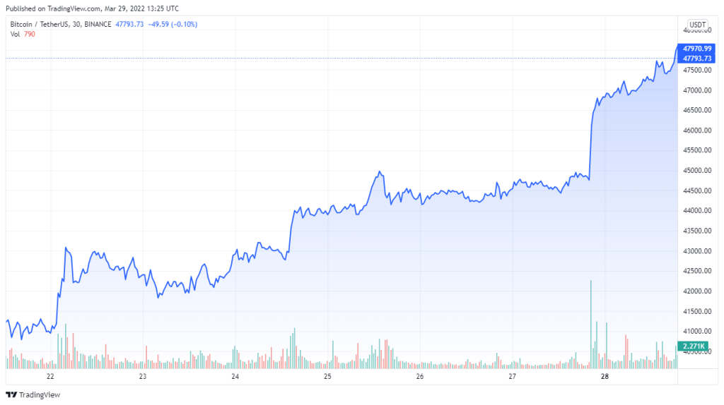 Bitcoin price