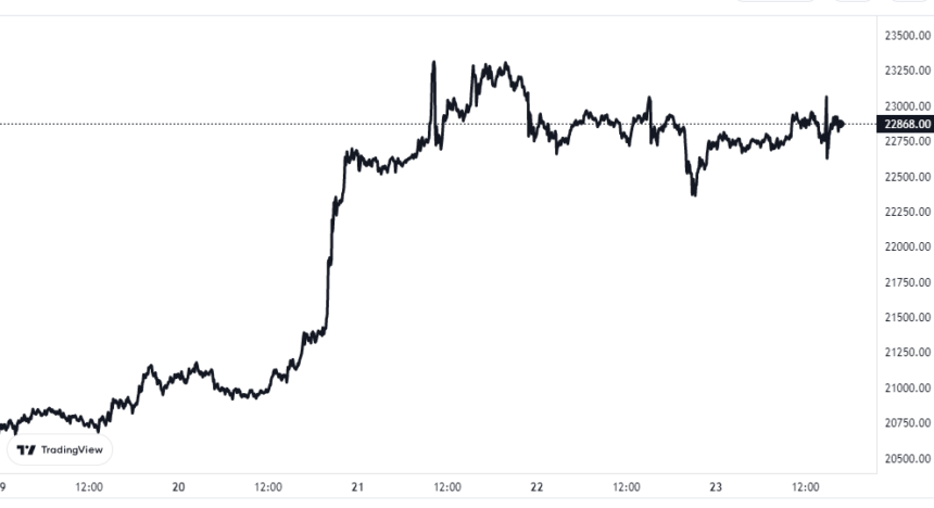 Bitcoin Price Chart