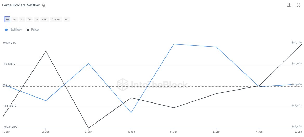 Bitcoin Large Holders Netflow