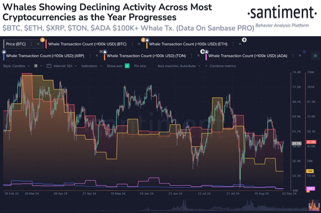 Whale activity falling |Source:@santimentfeed via X 