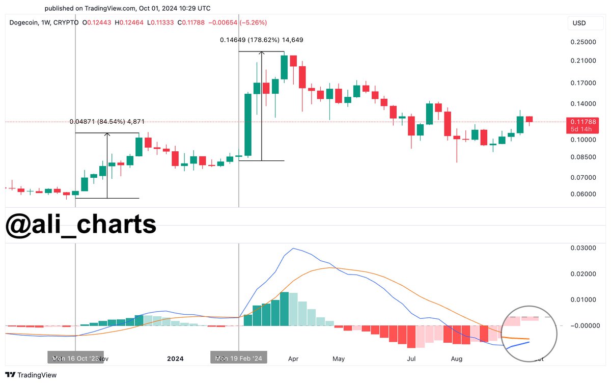 DOGE MACD bullish crossover 