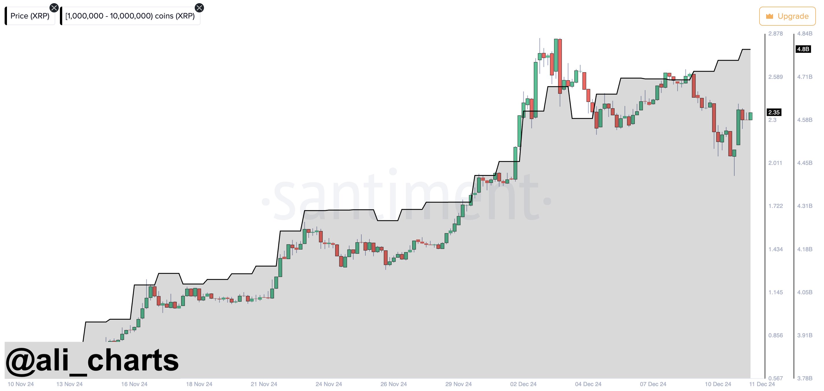 XRP whales