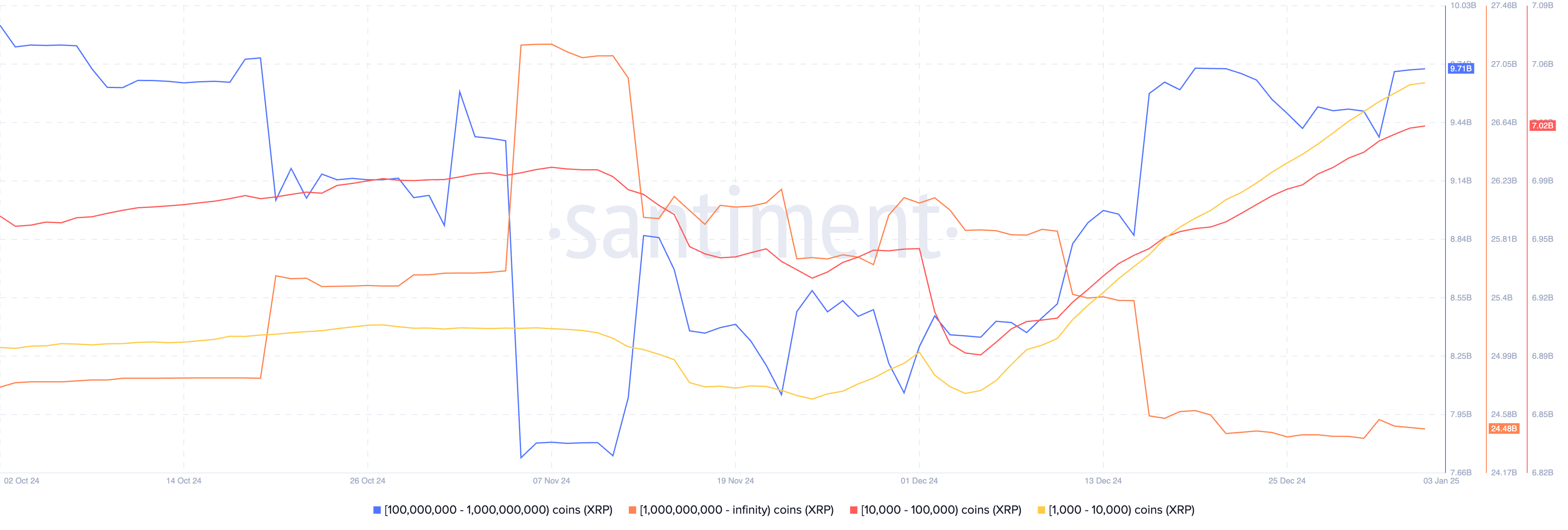 XRP token holdings