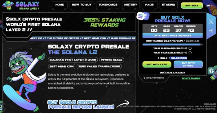 Solaxy ($SOLX) meme coin