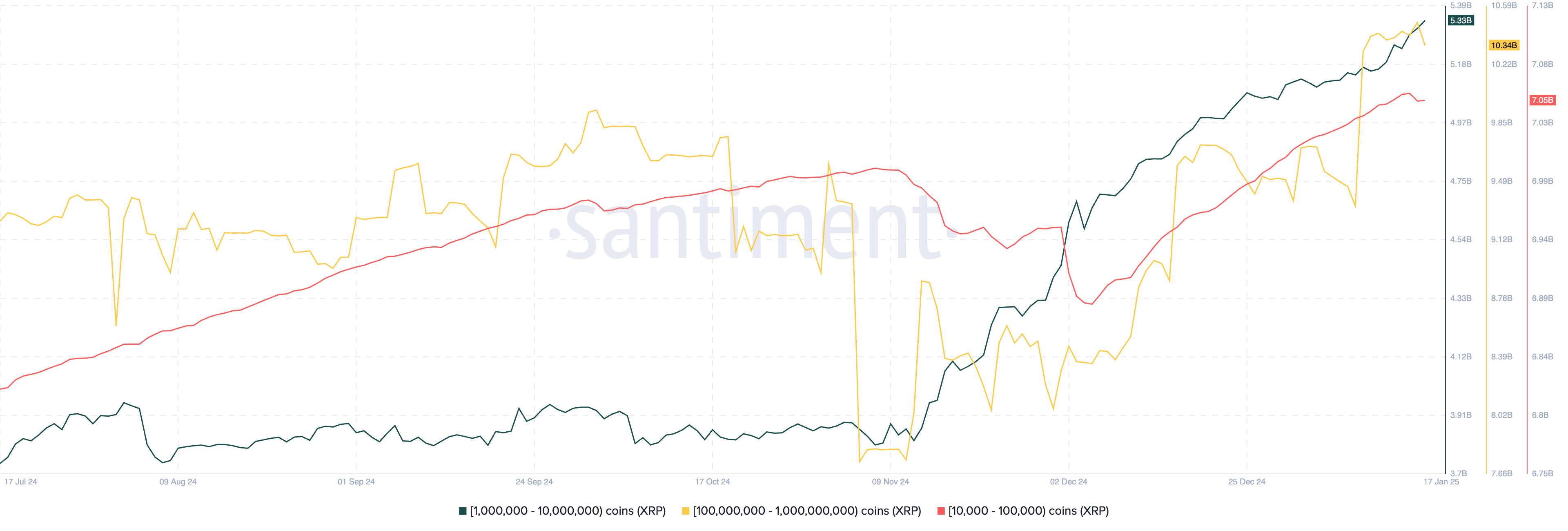 XRP supply distribution