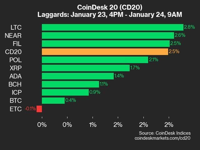 9am CryptoX 20 Update for 2025-01-24: laggards chart