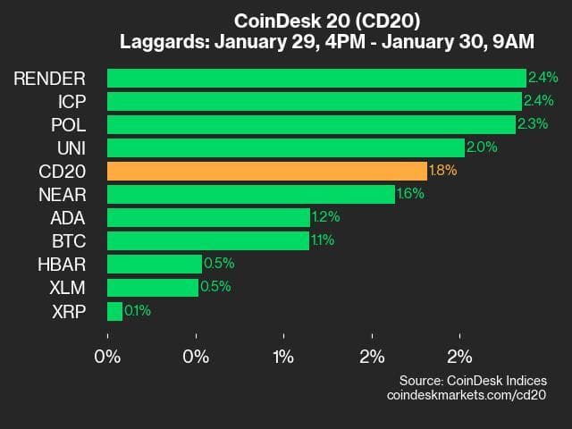 9am CoinDesk 20 Update for 2025-01-30: laggards chart