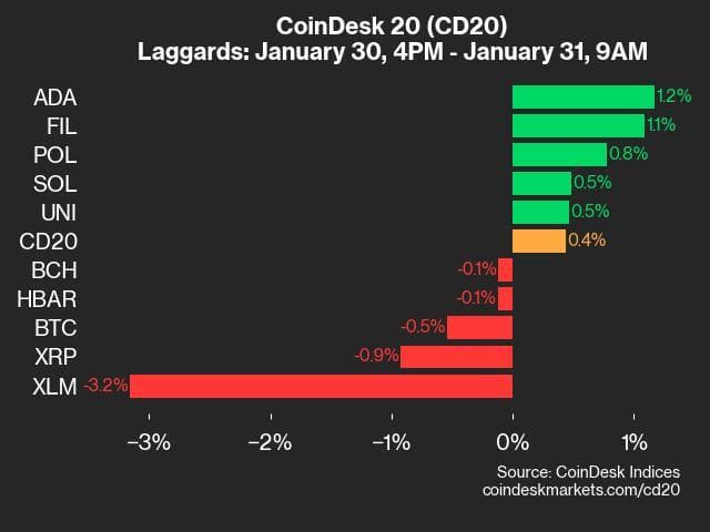 9am CoinDesk 20 Update for 2025-01-31: laggards chart