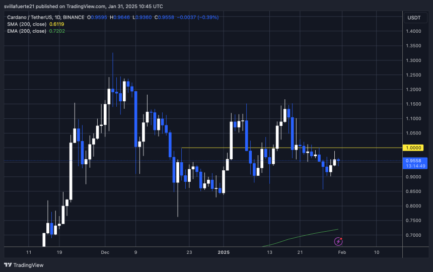 ADA consolidates below $1 mark | Source: ADAUSDT chart on TradingView