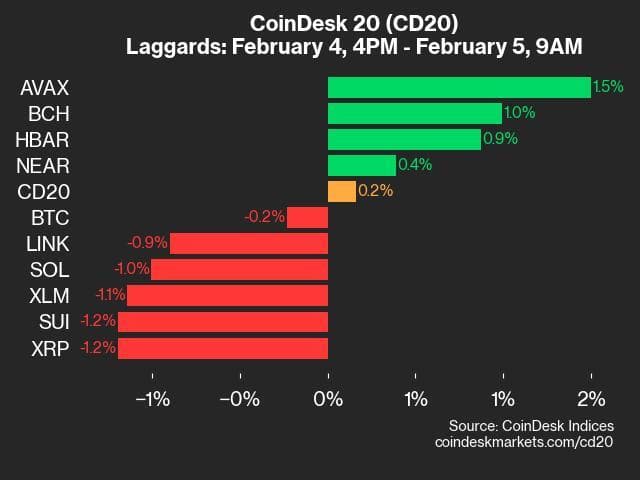 9am CoinDesk 20 Update for 2025-02-05: laggards chart