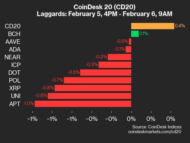 9am CoinDesk 20 Update for 2025-02-06: laggards chart