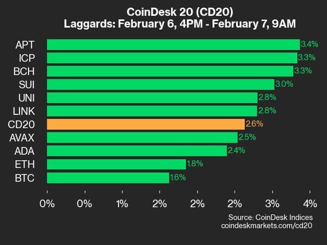 9am CoinDesk 20 Update for 2025-02-07: laggards chart