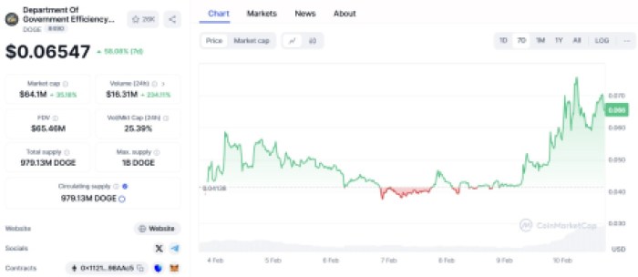 Department Of Government Efficiency ($DOGE)