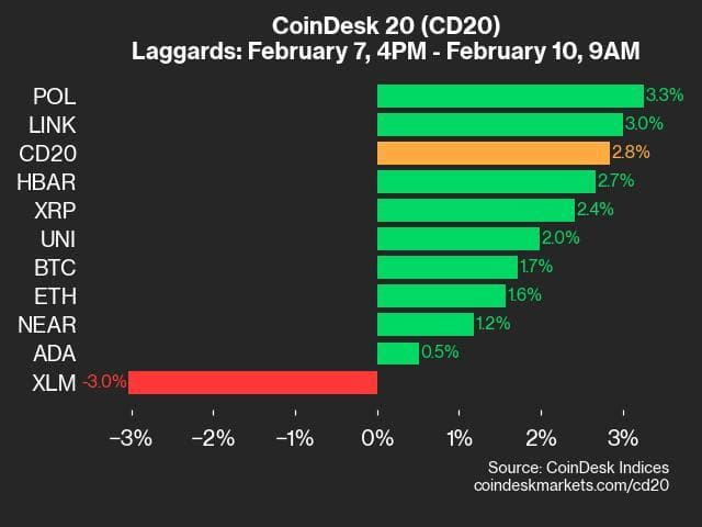 9am CoinDesk 20 Update for 2025-02-10: laggards chart