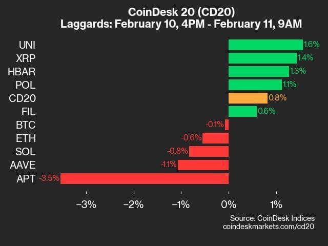 9am CoinDesk 20 Update for 2025-02-11: laggards chart