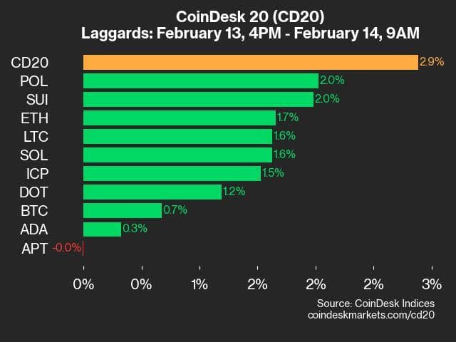 9am CoinDesk 20 Update for 2025-02-14: laggards chart