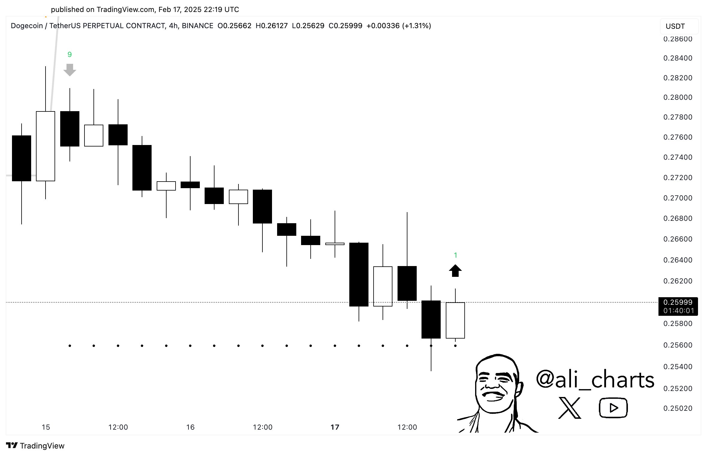 Dogecoin price