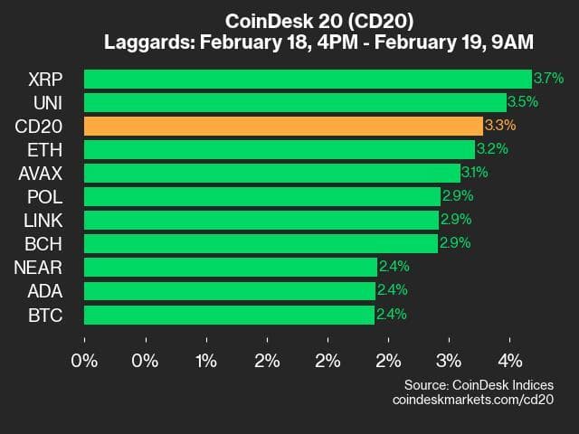 9am CryptoX 20 Update for 2025-02-19: laggards chart