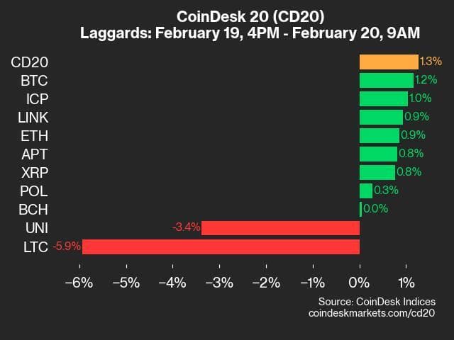 9am CoinDesk 20 Update for 2025-02-20: laggards chart