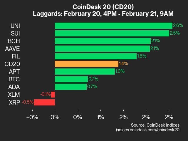 9am CoinDesk 20 Update for 2025-02-21: laggards chart