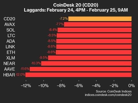 9am CoinDesk 20 Update for 2025-02-25: laggards chart