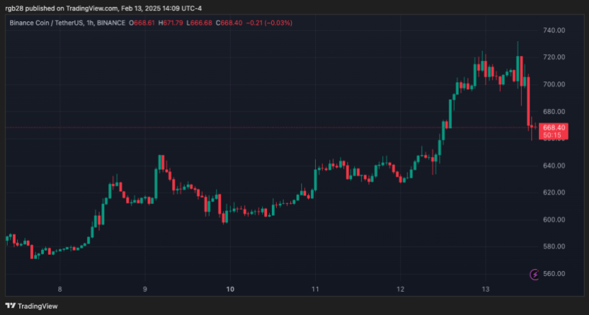 memecoin, BNB, BNBUSDT