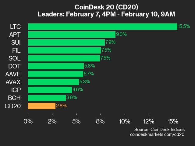 9am CoinDesk 20 Update for 2025-02-10: leaders chart