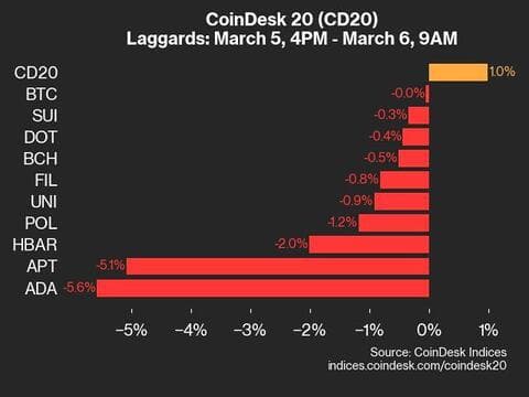 9am CoinDesk 20 Update for 2025-03-06: laggards chart