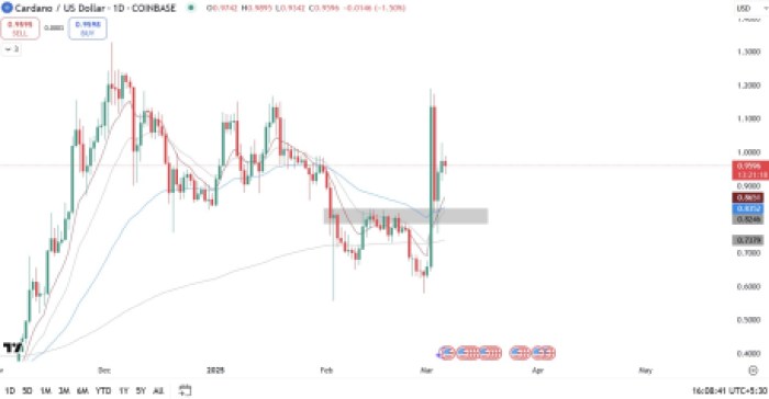 Cardano daily chart TradingView