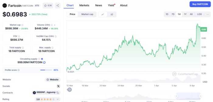 Fartcoin ($FARTCOIN)
