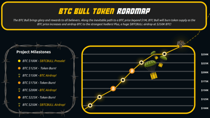 BTC Bull Token roadmap