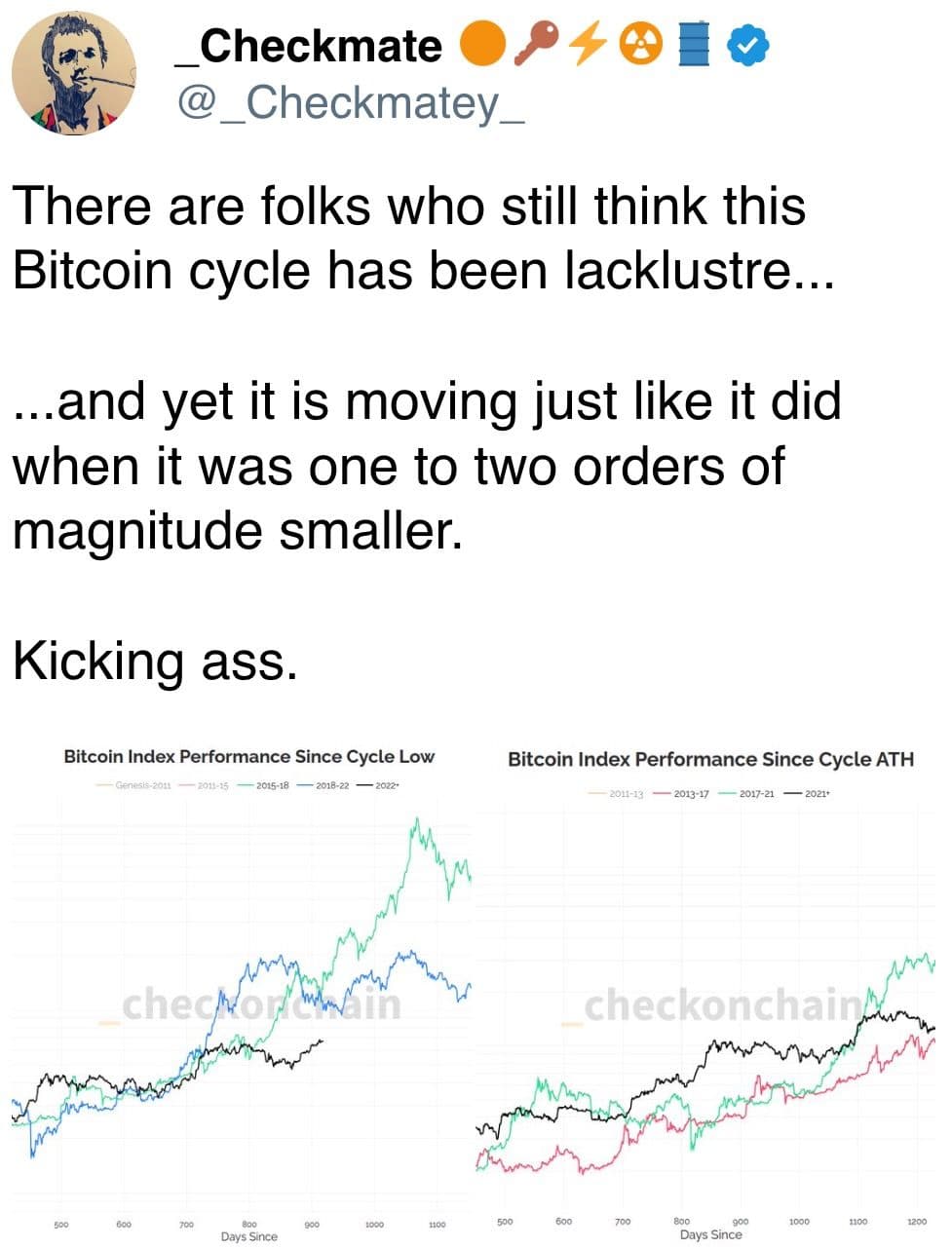 There are folks who still think this Bitcoin cycle has been lacklustre...