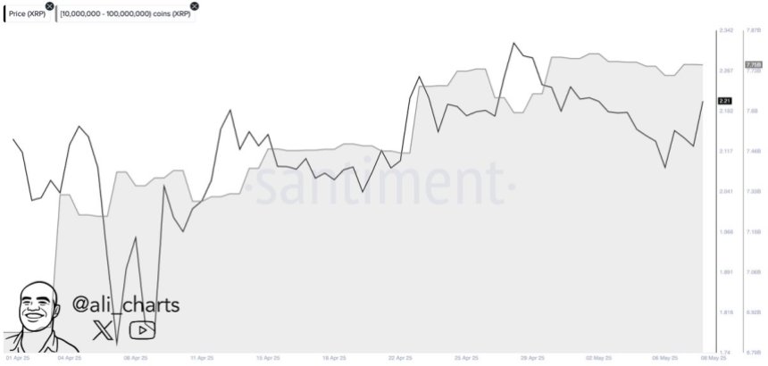 XRP Whales accumulated over 880 million XRP in the past month | Source: Ali Martinez on X