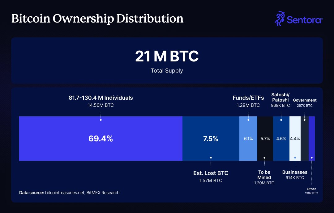 Bitcoin Ownership Distribution
