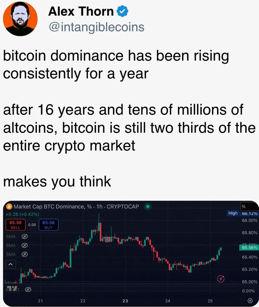 bitcoin dominance has been rising consistently for a year