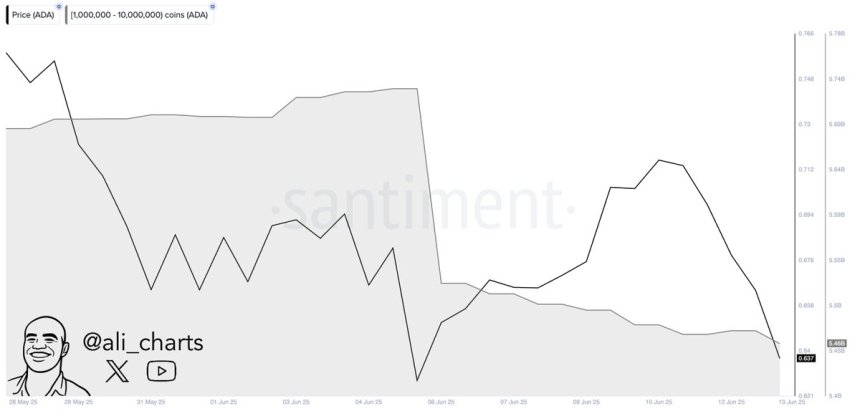 Cardano whales sold over 270 million ADA in a week | Source: Ali Martinez on X 