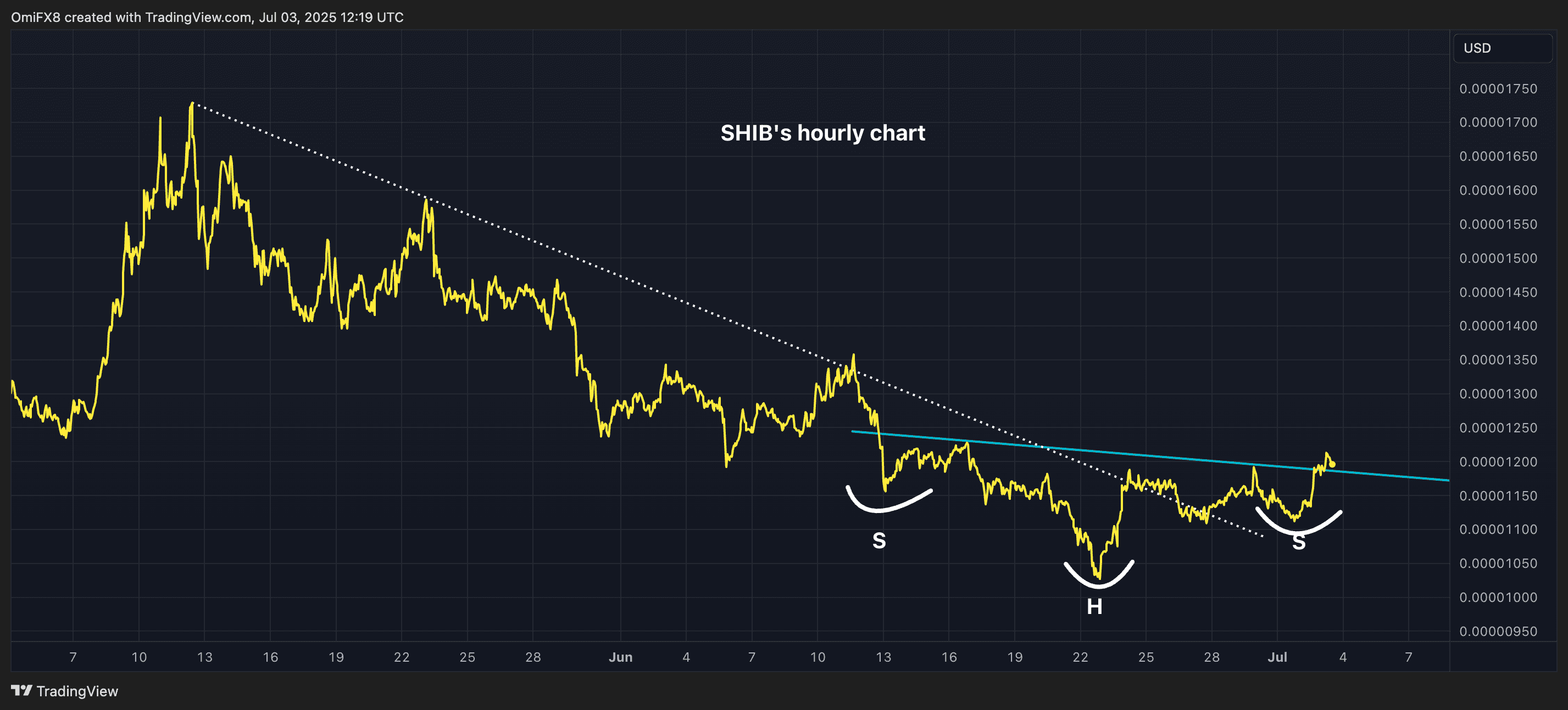 SHIB's hourly price chart. (TradingView/CryptoX)