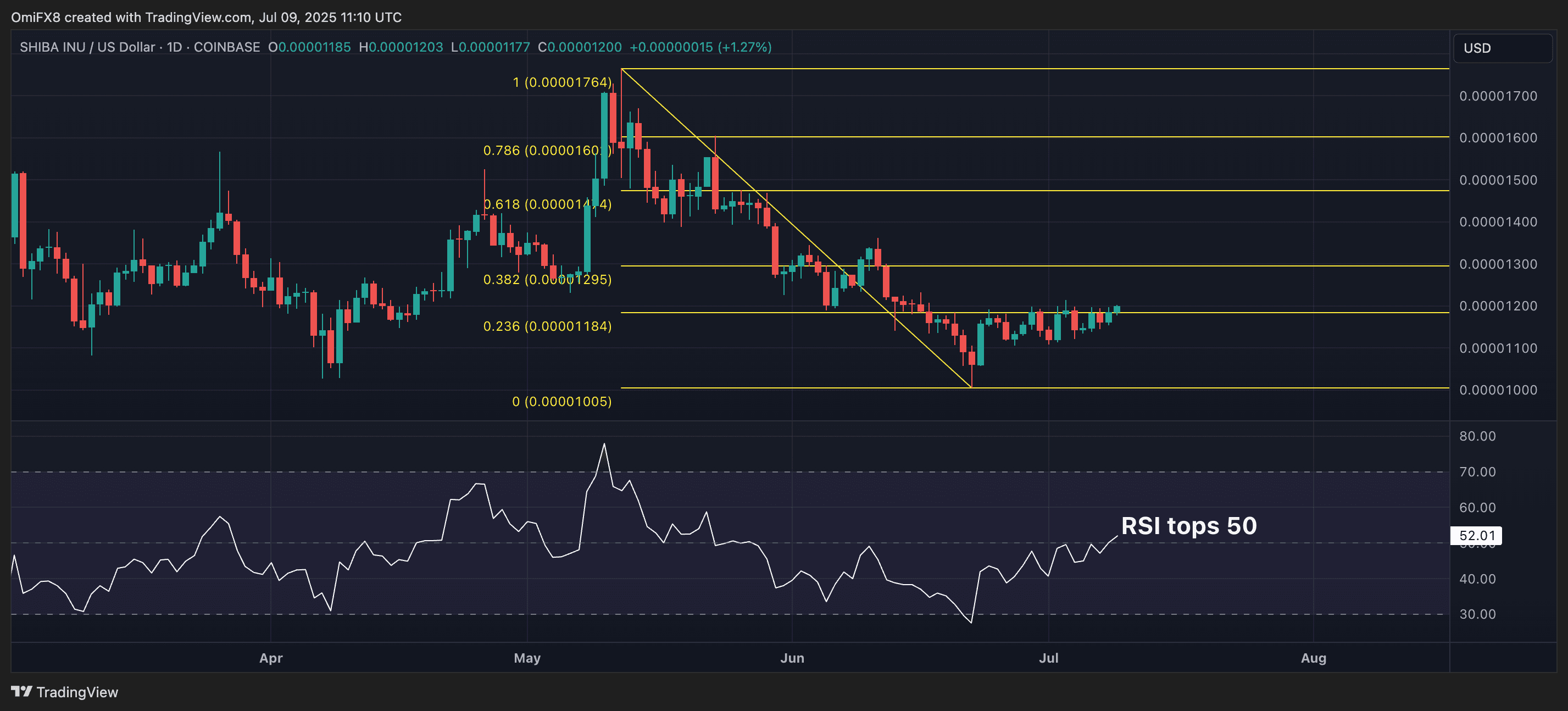 SHIB's daily price chart. (TradingView/CoinDesk)