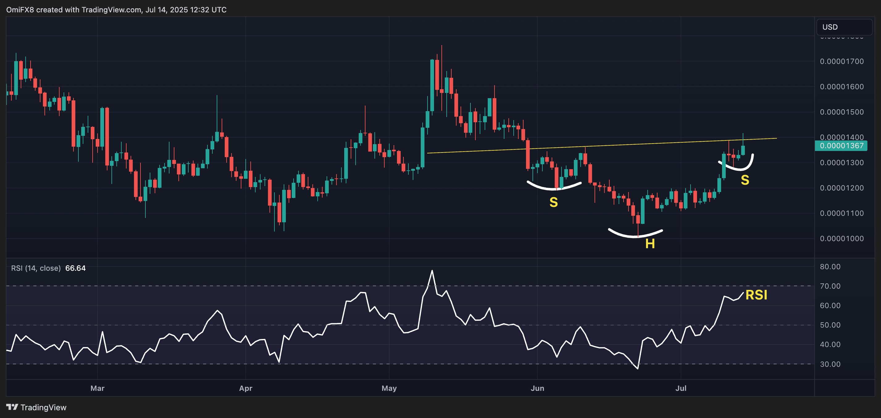 SHIB's daily chart with the 14-day RSI. (TradingView)