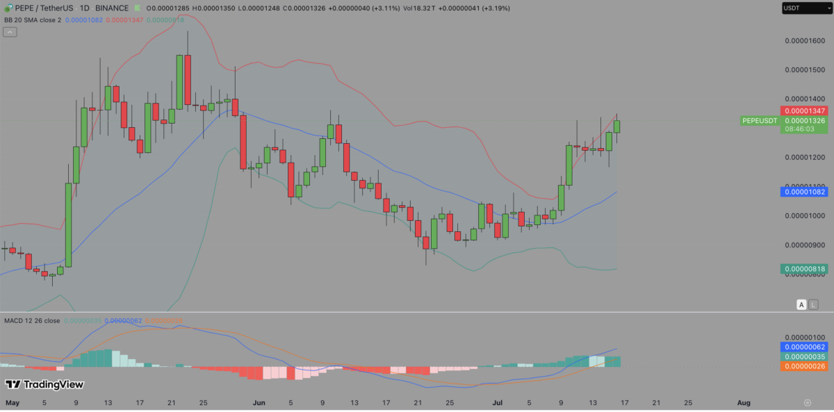 Pepe Price Forecast