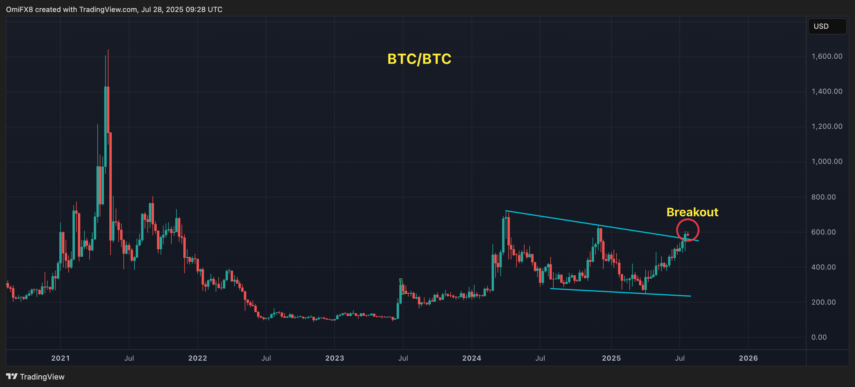 BCH's daily chart. (TradingView)