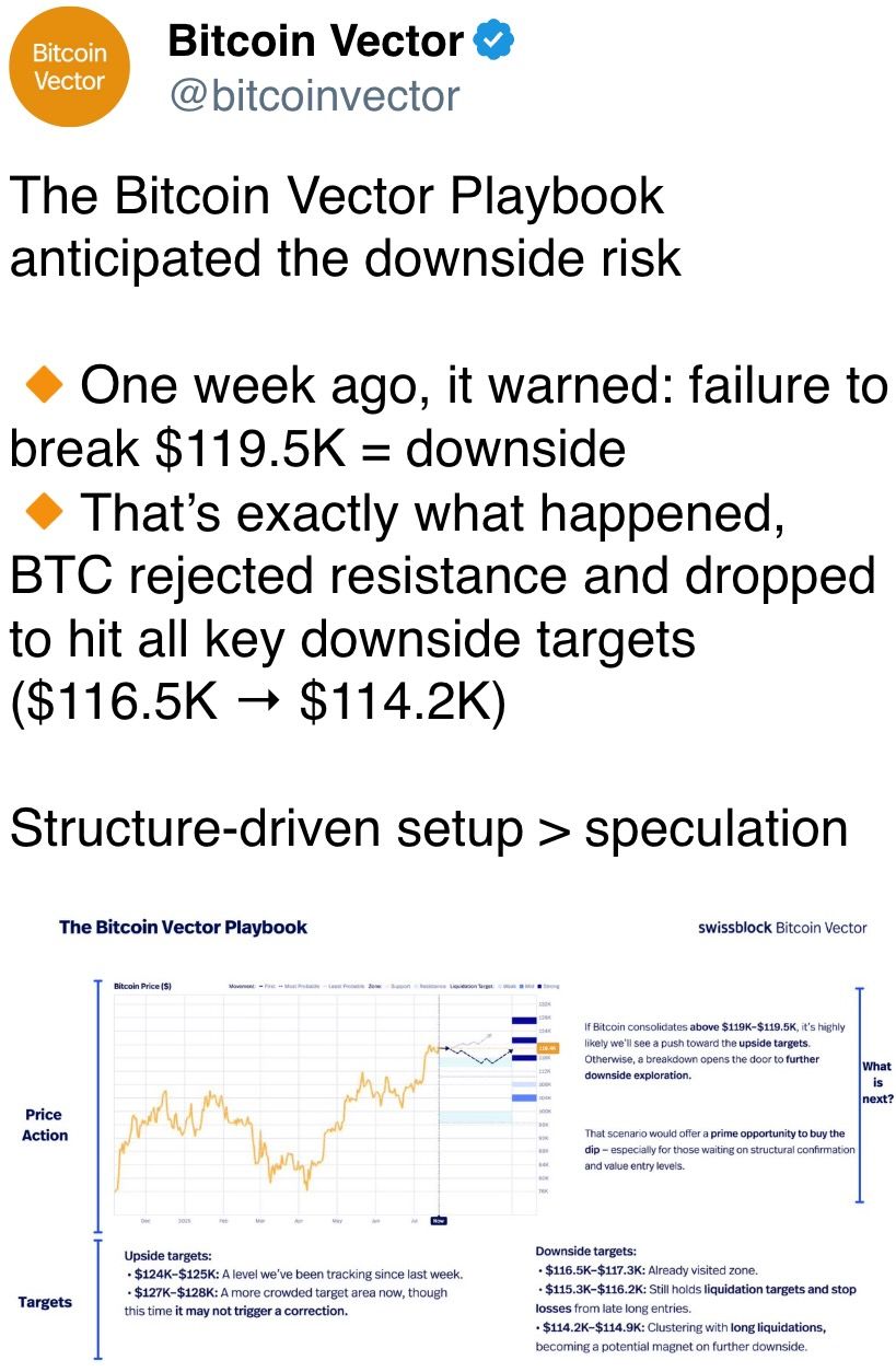 The Bitcoin Vector Playbook anticipated the downside risk