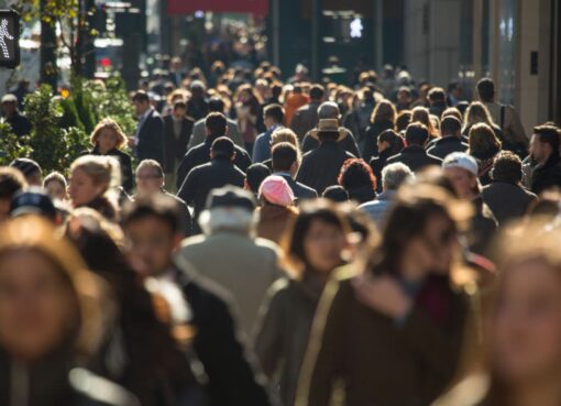 Disguised Unemployment in Blockchain? Data Shows Only 12% of Ethereum, 25% of Solana Protocols Have Revenue