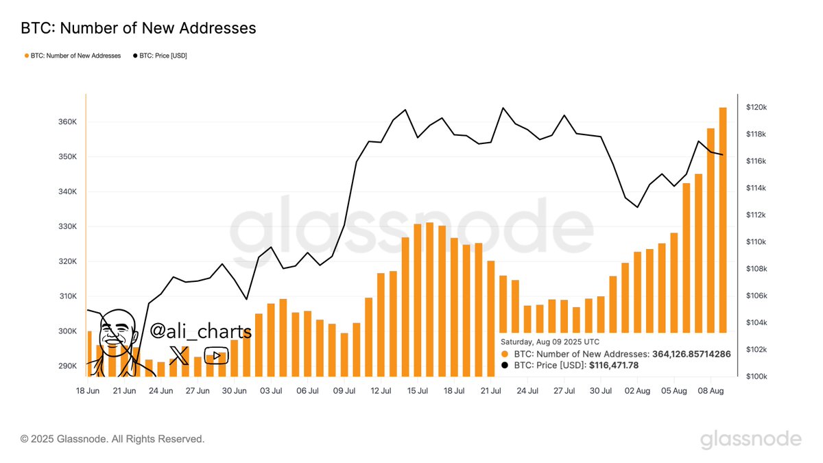 Bitcoin New Addresses