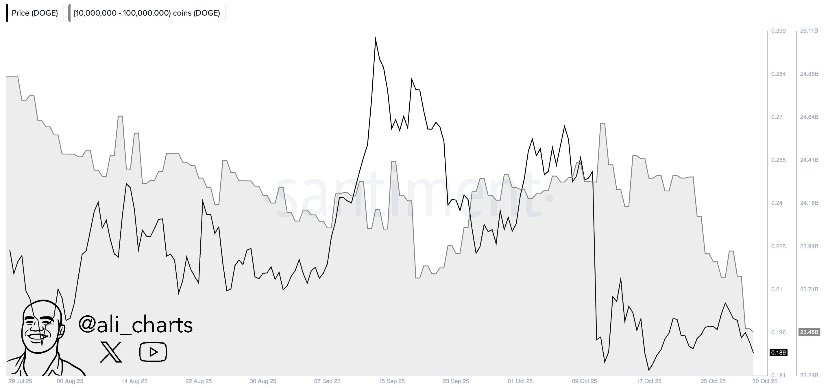 Dogecoin Supply Distribution